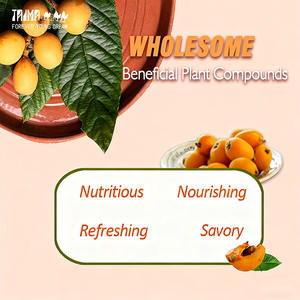 Sabor Chuanbei Loquat: sabores vegetales beneficiosos de primera calidad con aroma herbal-afrutado y esencia saludable - Product Image 2