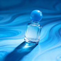 Flacons de parfum portables en verre vides de 50 ml/100 ml, rechargeables, avec vaporisateur, pour emballage cosmétique – Disponibilité immédiate