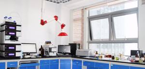 B.C.I. Poudre d'extrait d'algues d'approvisionnement Flocon <span class=keywords><strong>Ascophyllum</strong></span> <span class=keywords><strong>Nodosum</strong></span> Source d'engrais organique - Product Image 6