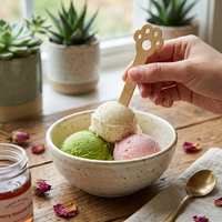 Bâtonnets de glace en bambou de forme créative, 100% naturels et biodégradables, pour la décoration artisanale DIY