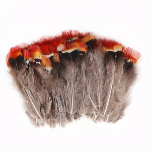 Piume di Fagiano Amherst Rosse Economiche all'Ingrosso, 5-10cm, Lavate con Motivi Decorativi per Artigianato e Cappelli - Product Image 3