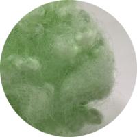 Fibre siliconée conjuguée creuse recyclée verte 7D pour le remplissage