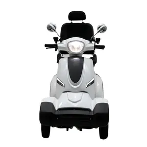 Outdoor travel EEC approval elderly electric mobility scooter 4-wheel motorcycle with 1000W motor