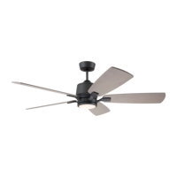 Ventilateur de plafond moderne avec éclairage, kit de télécommande, stator et rotor Shami