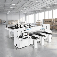 Scie à panneaux industrielle intelligente CNC MA-NP250A à commande monomoteur avec levage de lame pour la découpe du bois