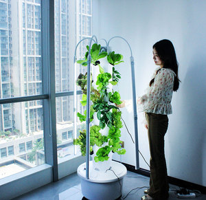 Torre de invernadero hidropónico para exteriores, 24 macetas, Torre hidropónica Diy y nutrientes - Product Image 1