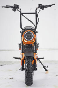 Motocicleta Eléctrica de 48V 1000W, Diseño Patentado 2026, Cuadro de Acero, Scooter Eléctrico con Precio de Fábrica para Mascotas y Compras - Product Image 4