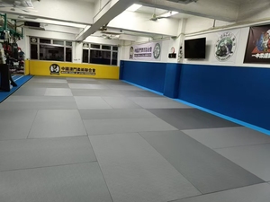 Promotions BJJ Jiu Jitsu Judo <strong>Mat</strong> Pvc Leather Martial Arts Grappling Judo Tatami <strong>Mats</strong> Custom Size Sponge Material Judo <strong>Mat</strong> - Product Image 6