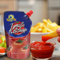 Sachet de ketchup aux tomates concentré biologique 250g en vrac prix de gros Ketchup biologique sauces pures pâte de tomates