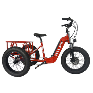 4 Zoll breites Elektro-Fat-Trike-Fahrrad mit niedrigem Einstieg, Dreirad für Erwachsene, Elektro-Lastenfahrrad, 48V-Rohrbatterie - Product Image 1