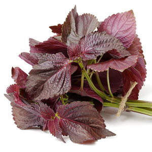 GMP standar kualitas tinggi Perilla Frutescens ekstrak makanan bubuk kelas dalam kemasan Drum dikemas vakum HPLC diuji - Product Image 4