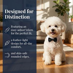 Pañuelo de Alta Calidad para Perro, Multicolor, para Fiestas de Cumpleaños, Collar para Mascotas - Product Image 4