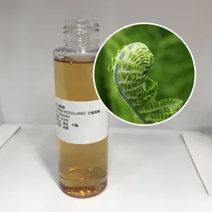 Alderus spinula leaf  CYATHEA MEDULLARIS extract factory produces customizable Latest date Plant extracts