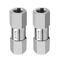 Válvula de Retención de Alta Presión de Acero Inoxidable SS304, Rosca NPT Hembra, 6000 PSI, Válvula Antirretorno en Línea con Presión de Rotura de 1/3 PSI