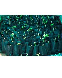 Sacs de culture en plastique noir de 18 L avec trous de drainage, pots de plantation réutilisables pour le jardin - Product Image 3