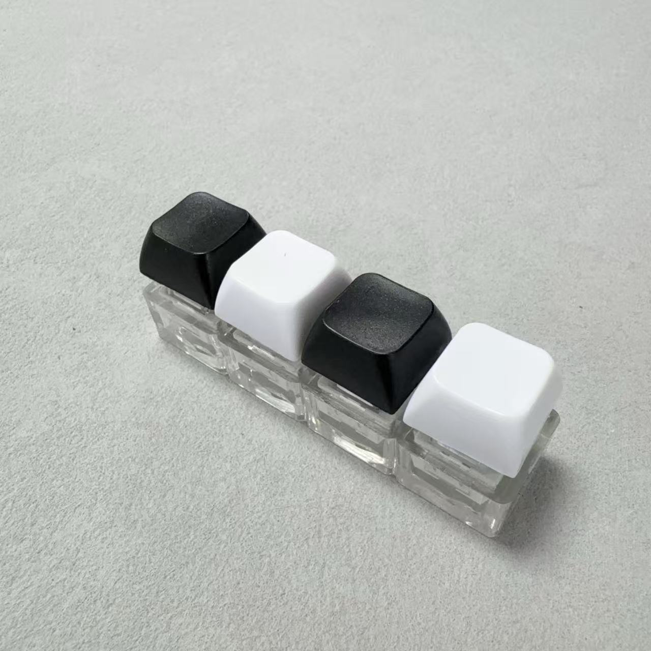 Four key-transparent shell-black and white