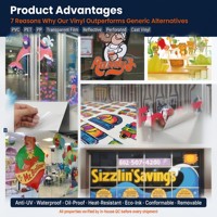 Toptan Özel Yansıtıcı Yapışkanlı PVC CMYK Ofset Baskılı Şeffaf Ters Etiket 1.26x50M Rulo Halinde Tabela İçin