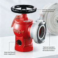 SN65-Y DN65 Robinet d'incendie en fonte ductile de 2,5 pouces pour système de protection incendie