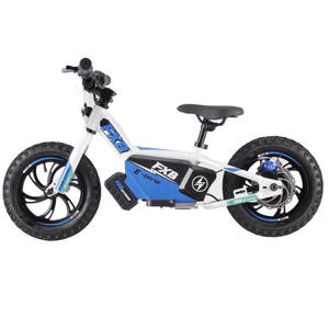 CE ROHS approuvé 3-6age enfants monter sur la balance vélo en 36V 250W Brushless électrique Balance Bike Scooter pour enfants - Product Image 2