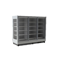 Congélateur commercial à économie d'énergie pour aliments surgelés, vitrine de supermarché, réfrigérateurs verticaux, réfrigérateur de présentation, portes en verre, congélation