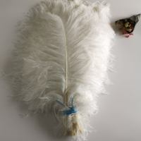 Nouvelles plumes d'autruche blanches teintes originales en gros, 60-65 cm, pour robe de cocktail de luxe, décoration de mariage à domicile, fabrication de bricolage