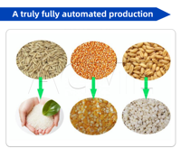 Ligne de production de farine de blé entièrement automatique, ligne industrielle de broyage et de traitement des grains de blé avec nettoyage et tamisage