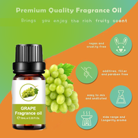 Huile parfumée fruitée pour la fabrication de bougies et de savon, huiles essentielles de qualité supérieure 10ml X 10 ensemble d'huiles pour diffuseur d'aromathérapie