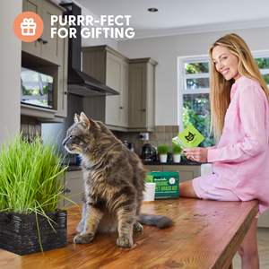 Kit d'<span class=keywords><strong>herbe</strong></span> à <span class=keywords><strong>chat</strong></span> biologique avec jardinière en bois rustique pour la maison, le jardin, l'extérieur, l'intérieur et la pépinière. - Product Image 3