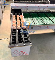 Machine de triage des œufs pour œufs de poulet et de canard, triage des œufs par poids et taille, en acier inoxydable, pour utilisation dans les fermes avicoles