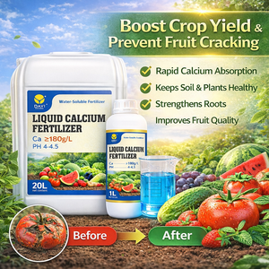 El <span class=keywords><strong>Mejor</strong></span> <span class=keywords><strong>Fertilizante</strong></span> de Calcio <span class=keywords><strong>para</strong></span> <span class=keywords><strong>Tomates</strong></span>, Previene la Podridad, Mejora el Rendimiento, Fórmula Soluble en Agua - Product Image 1