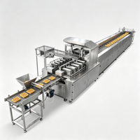 Équipement industriel de traitement continu automatique pour la fabrication de chips croustillantes de type gaufre