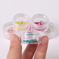 Offre Spéciale : Fleurs Séchées Colorées en Forme de Petite Fleur de Prunier avec Mini Boîte Acrylique Style 3D pour Nail Art