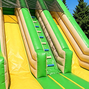 Tobogán Inflable Doble con Diseño de Animales de la Selva, Fácil de Inflar, para Jardín de Niños, Actividades con Animales Salvajes, de PVC - Product Image 2