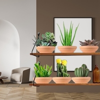Grand pot rond en terre cuite succulente Jardinière en céramique Poterie Cactus Pots de fleurs en argile Plantes avec trou de drainage