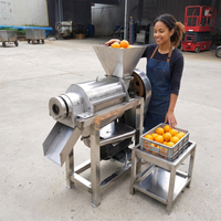 Presse-agrumes à froid haute productivité pour usine de transformation de fruits à grande échelle, idéal pour jus d'ananas, de pomme et de légumes