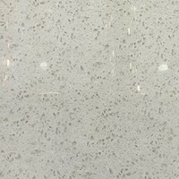 Carreau en porcelaine pleine masse 750x1500mm, grand format gris minimaliste moderne résistant à l'usure pour hôtel villa couloi