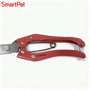 กรรไกรตัดขนสัตว์ SmartPet สแตนเลสสีแดง แบบใช้มือ ขนาดเล็ก สำหรับใช้ในบ้าน - Product Image 4