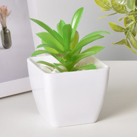 Set Pot sukulen lucu 3 Pot tanaman sukulen Mini lucu Pot kaktus keramik kecil untuk hadiah berkebun Rumah Tangga