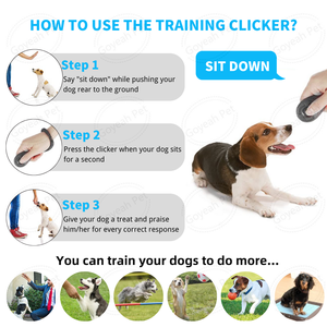 Custom <strong>Puppy</strong> <strong>Starter</strong> Kit Pet Accessories for Small and Medium Dogs - Product Image 5