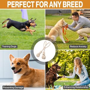 Ensemble de jouets à mâcher pour chien en corde de chanvre naturelle écologique avec corde en coton durable - Product Image 5