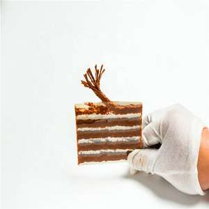 Tiras de Sellado para Reparación de Pinchazos de Neumáticos de Coche de Alta Calidad, Tiras para Pinchazos en Frío para Neumáticos Sin Cámara - Product Image 2