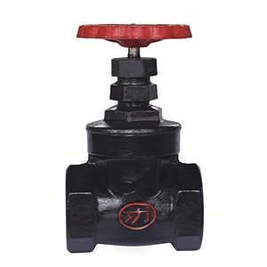 Volant manuel en fonte fileté NPT/BSPT pour la plomberie, le chauffage, la climatisation et les conduites d'eau DN15-DN200 - Product Image 1
