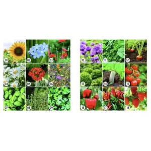 Enveloppe en papier kraft avec graines, merchandising durable - Product Image 3