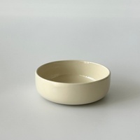 Élégant ensemble de vaisselle émaillée couleur céramique beige assiettes/bol minimaliste maison/restaurant utiliser vaisselle idéale pour tous les jours et les fêtes