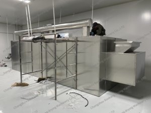 เครื่องอบอาหารแห้งสำหรับพริกแดงเครื่องอบแห้งอาหารแบบตาข่ายชุดเครื่องอบแห้งมะม่วง - Product Image 4