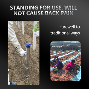 เครื่องปลูกต้นหอมแบบมือถือเครื่องปลูกต้นกะหล่ำปลีพริกไทยมะเขือยาว - Product Image 5