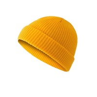 Chapeau tricoté chaud à dôme polyvalent à la mode européenne et américaine avec impression numérique de broderie 3D avec logo personnalisé