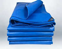 Bâche PE doublement imperméable sur mesure pour usage intensif en usine en Chine / Bâches PE vertes en toile plastique de grande taille avec œillets