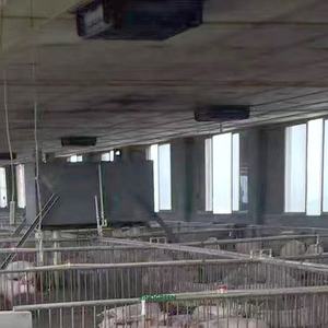 Évent | SinoGreen porcherie ventilation <span class=keywords><strong>toit</strong></span> évent <span class=keywords><strong>entrée</strong></span> <span class=keywords><strong>d</strong></span>'<span class=keywords><strong>air</strong></span> en gros pour porcs et porcheries - Product Image 6