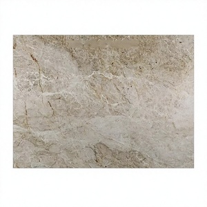 Granite blanc de luxe Taj Mahal, grande dalle, design moderne, surface polie, comptoir en granit chaud, villas, quartzite naturel - Product Image 1